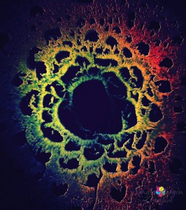 eukartyotic painting single origin creative