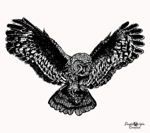 Owl hand sketch Single Origin Creative