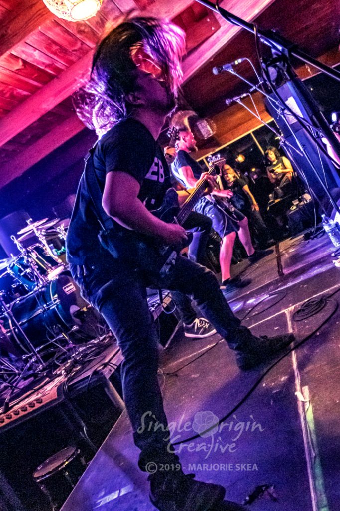 wallapalooza-2019-circles-singleorigincreative