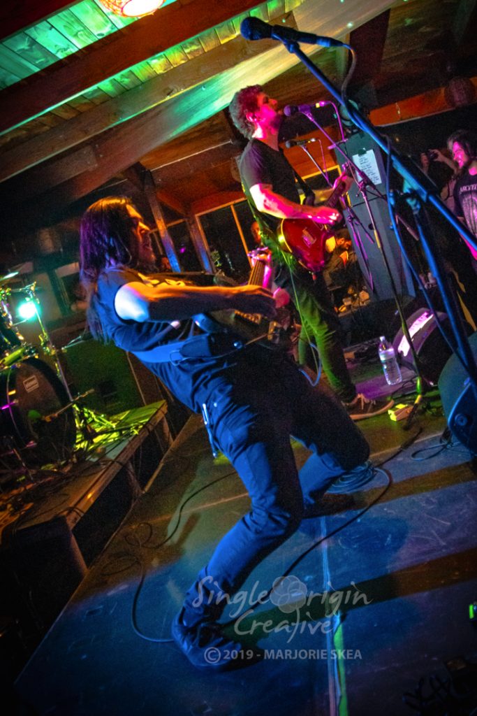 wallapalooza-2019-circles-singleorigincreative