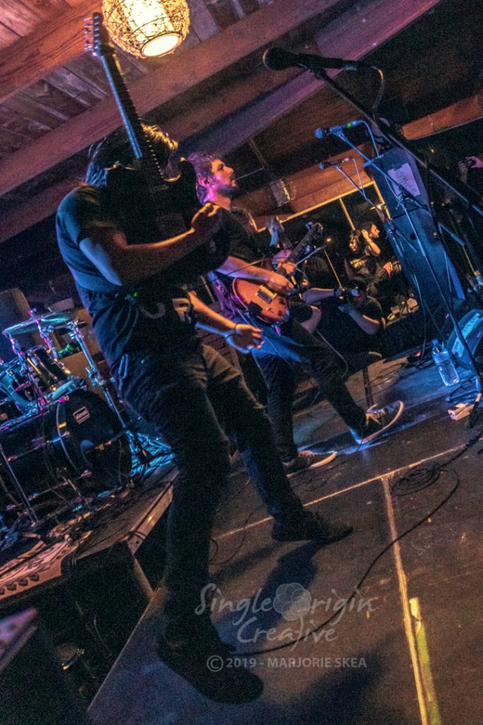 wallapalooza-2019-circles-singleorigincreative