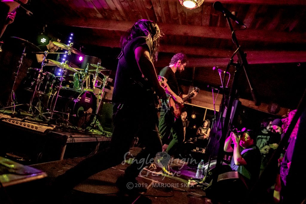 wallapalooza-2019-circles-singleorigincreative