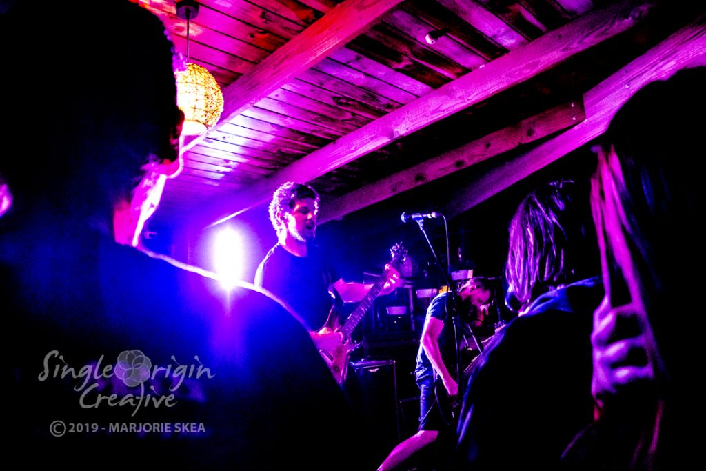 wallapalooza-2019-circles-singleorigincreative